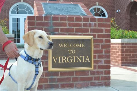 Pet friendly hotels in centreville va  Find the closest pet friendly hotels nearby