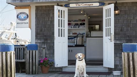 Pet friendly hotels in nantucket  Find and book deals on the best pet-friendly hotels in Nantucket, United States of America! Explore guest reviews and book the perfect pet-friendly hotel for your trip