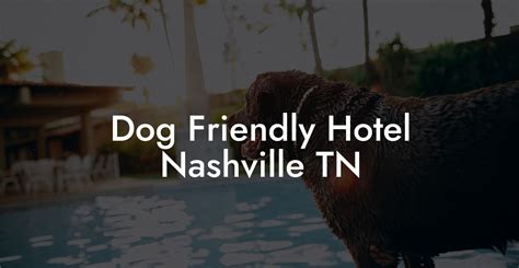 Pet friendly vacation rentals nashville tn There are 604 pet friendly vacation rentals in Nashville