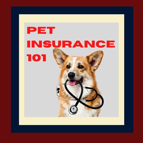 Pet health insurance davidson, nc  Mountcastle Insurance