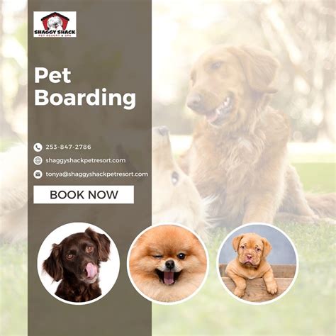 Pet resort tacoma wa Friendly Grove Resort & Spa for Dogs