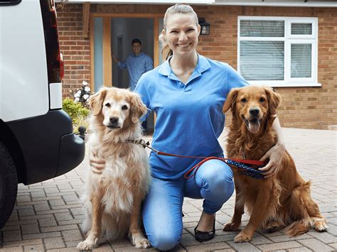 Pet sitter kirkland  Get a Pet Sitter Job