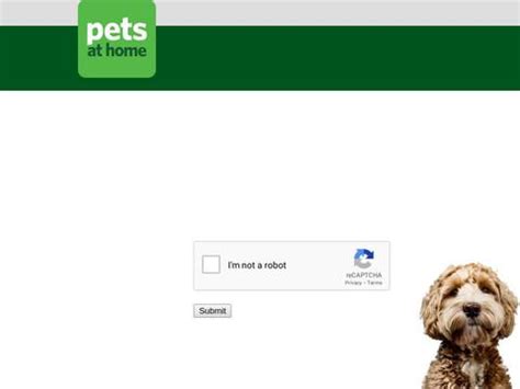 Pets at home coupons  Service