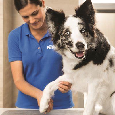 Petsmart vet  For dog boarding beyond the typical kennel experience, explore our boarding and day care services at PetSmart PetsHotel! Featuring pet sitting and boarding amenities for dogs & cats, we offer safe, comfortable accommodations for your four-legged friends