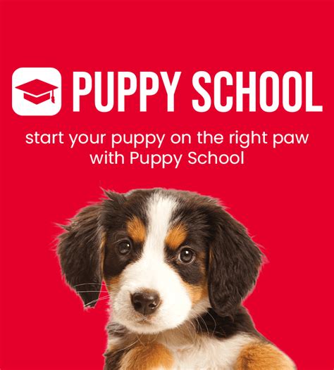 Petstock puppy school  Add to Cart