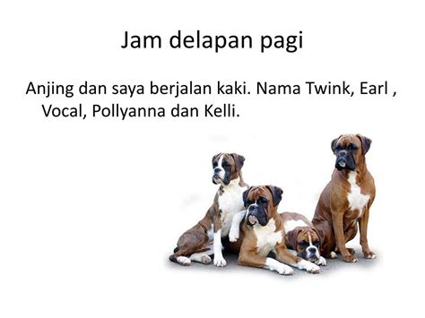 Peujit koreseun  culamitan -----TOLONG DI BANTU TERIMAKASI YG SUDAH Menjawab Soal ini Thank you MATA PELAJARAN : B