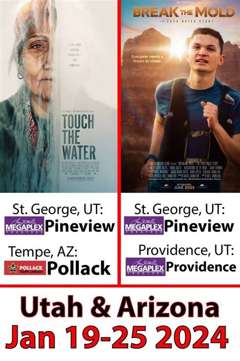 Pineview megaplex  8 movies playing at this theater today, November 3