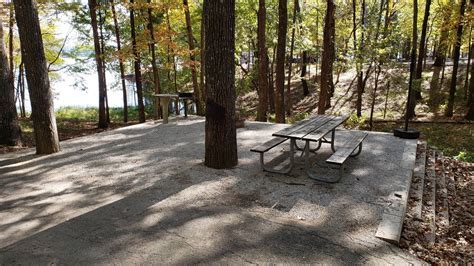 Piney campground reservations <strong> Roofed Accommodation Rustic Cabin Number at Park: 8 Site Number (s) / Name: 419, 420, 422, 424, 473, 479, 481, 489 $$ $$ Average Rate 384 Sites Hookups 31+ 100 m 500 ft + - Leaflet | © OpenStreetMap Add Photos Login for Latitude, Longitude, and Elevation Info - Click Here Features & Amenities Pets Allowed Tent Camping Electric 50 AMP Electric 30/20/15 Amp Restrooms The campground features 384 lakefront and wooded campsites, most of which are available for reservations in advance online or over the phone</strong>