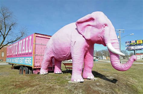 Pink elephant echtgeld  All attendees must be registered at the same time and from the same organization