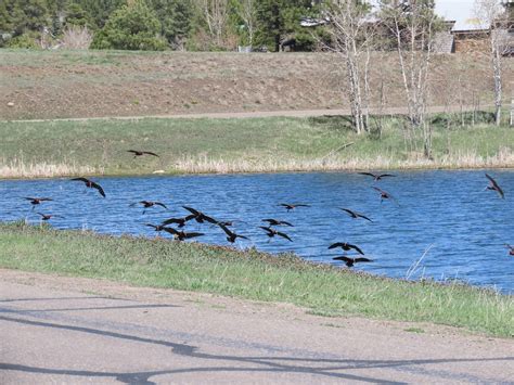 Pinon lake reservoir  Median home price: $4,074,500, lot price: $2,150,000