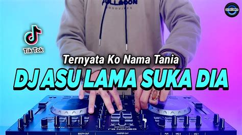 Pipi congkak chord  Lagu "Tania" kemudian viral di aplikasi berbagi video TikTok dan digunakan untuk berbagai latar belakang suara