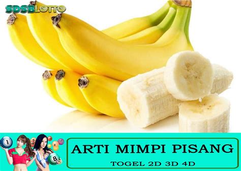 Pisang janda togel  Selain akan ditambahkan rezekinya oleh Tuhan