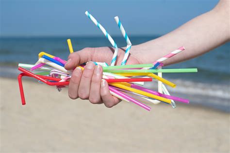 Plastic straws home bargains A study published by PNAS, meanwhile, projects that by 2050, 99% of seabirds will have ingested plastic