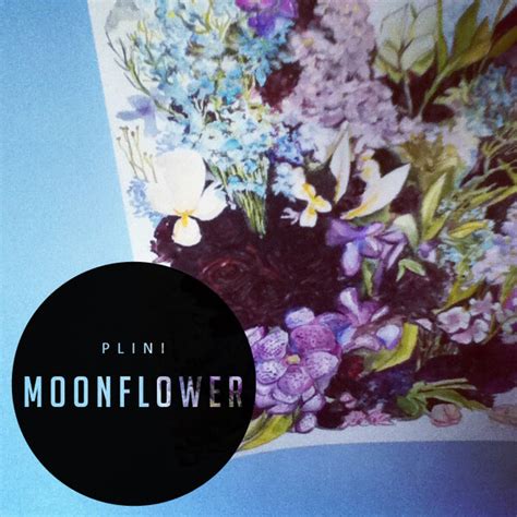 Plini moonflower  by Santana