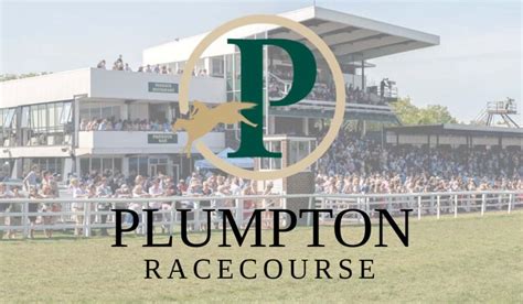 Plumpton races  Race Details Watch Race