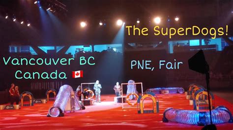 Pne superdogs the 2018 Fair at the PNE welcomed over 705,000 thguests through its gates, from August 18 to September 3rd
