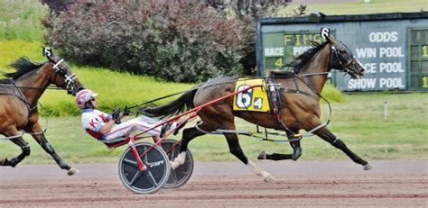 Pocono downs racing ustrotting