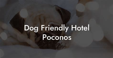 Poconos dog friendly resorts  Minimum Stay: 2 nights