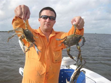 Pointe aux chenes crabbing Statewide biological sampling continues to indicate a notable reduction in the availability of oysters, shrimp, crab and finfish in those waterways Results of Departmental monitoring of oysters on public reefs using data available as of August 31, 2019 show that oyster mortality on those reefs ranged as high as 100 percent in several areas