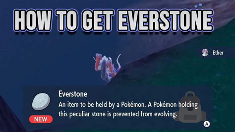 Pokemmo everstone <b>1 </b>