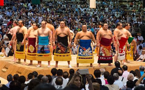 Polynesian sumo wrestlers  this weekend