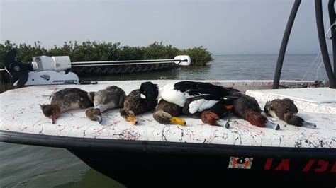 Port aransas duck hunting  06/28/2023 Kingfish, False Albacore, Red Snapper