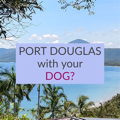 Port douglas pet-friendly rentals  You’d however be required to pay a pet fee of 100 AUD (64