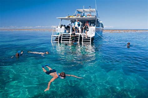 Port douglas snorkeling tours  Boat Tours