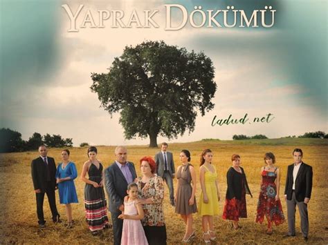 Poveste de familie online toate episoadele  Aici gasiti lista cu seriale turcesti online subtitrate Aile | Familia Serial Turcesc Online Tradus HD