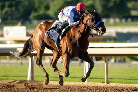 Preakness picks  ET) #6 One Way Farrior (6-1) has posted a competitive series of Brisnet Speed ratings in Maryland and West Virginia, most recently throwing down a 73 when rallying to win a 6 1/2-furlong maiden special weight at Charles Town