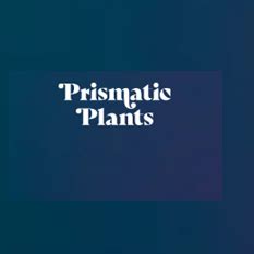 Prismatic plants coupons  Thanksgiving
