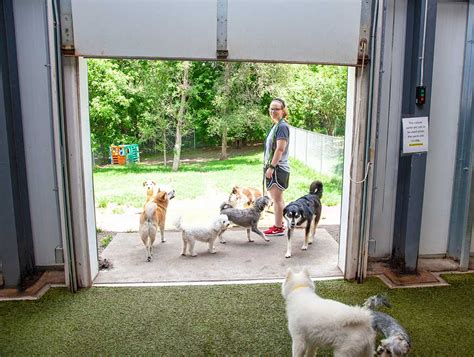 Private dog boarding  Company staff can administer medication and puts dogs on daily walks