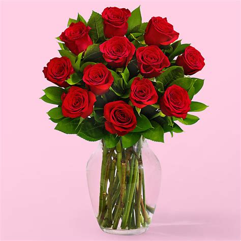 Proflowers nyc Item # E5440P 24 Long Stem Red Roses This classic 24 Long Stem Red Rose Bouquet is a powerful symbol of passion or gratitude for anyone special in your life