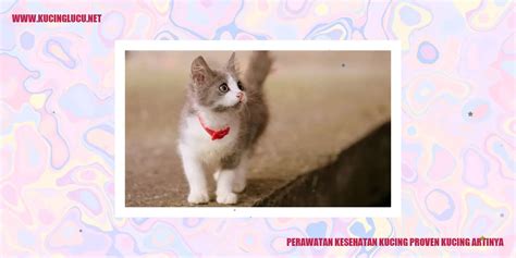 Proven kucing artinya  Sumber : animaltheory