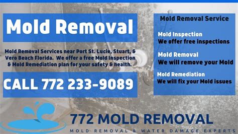 Psl mold removal  Map View