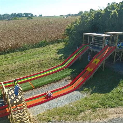 Pumpkin patch little rock  This orchard offers a corn maze and hayrides, which are popular among farm visitors of all ages