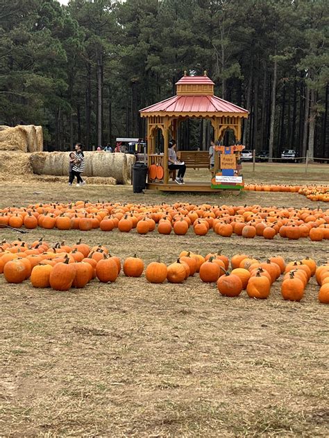 Pumpkin patches near jacksonville fl , East Parrish, for a 2 1/2-hour trip to the museum's own Pumpkin Patch Saturday and Sunday, Oct