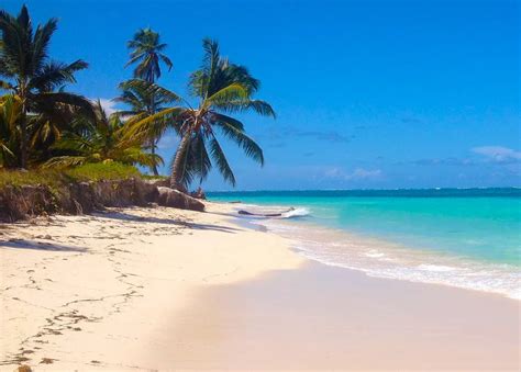 Punta cana transfer  +1 855 275 5071