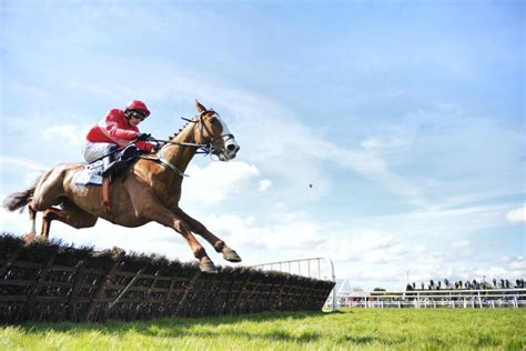 Punting pointers Signposts: punting pointers for Thursday's racing