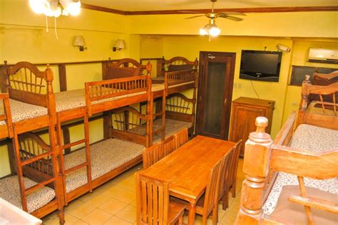 Pup dormitory rent  1 month advance