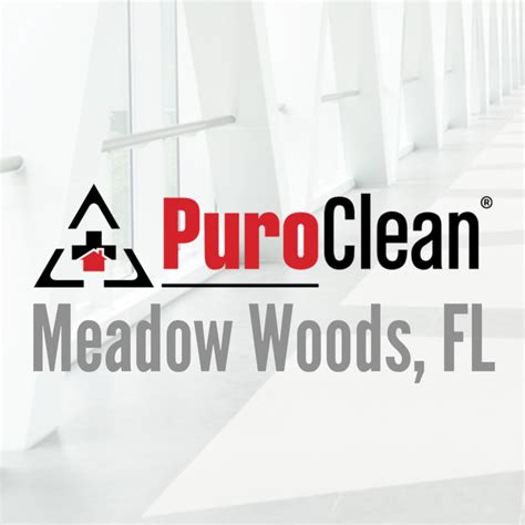 Puroclean of meadow woods <strong> Home</strong>