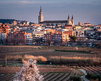 Putas en vilafranca  Área de