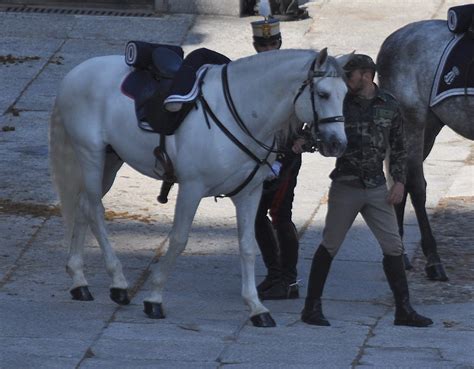 Putas follando con caballos  Traviesa mujer mexicana de 49 años practica por primera vez la zoofilia