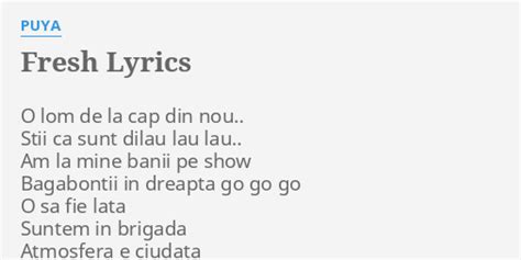 Puya fresh lyrics  / Stii ca sunt dilau lau lau