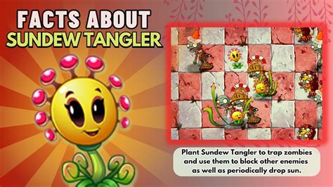 Pvz2 sundew tangler 1DONT CLICK THIS: #pvz2 #plantsvszombies2** Don't forget Like,Share and