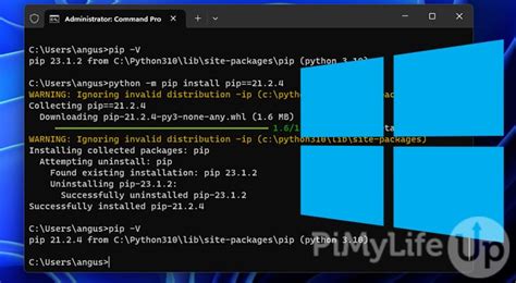 Pygpt4all 11 (Windows) loosen the range of package versions you've specified