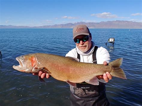 Pyramid lake lodging  Location