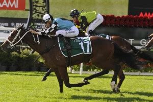 Queensland guineas odds  Royal Scotsman was third last time out when running in a hot race at Newmarket, with the horse sent off at odds of 11/1 in the 2000 Guineas