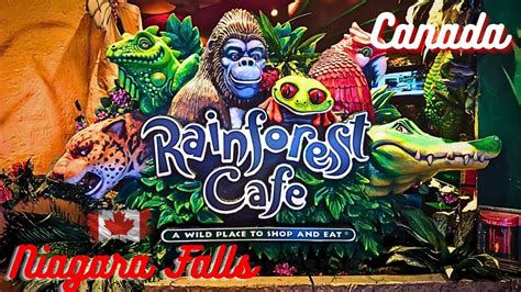 Rainforest cafe niagara falls  Share