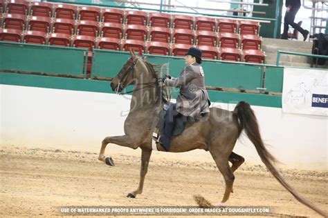 2024 Raleigh Spring Premier - Horse Show Proofs - 2024 Proofs ...